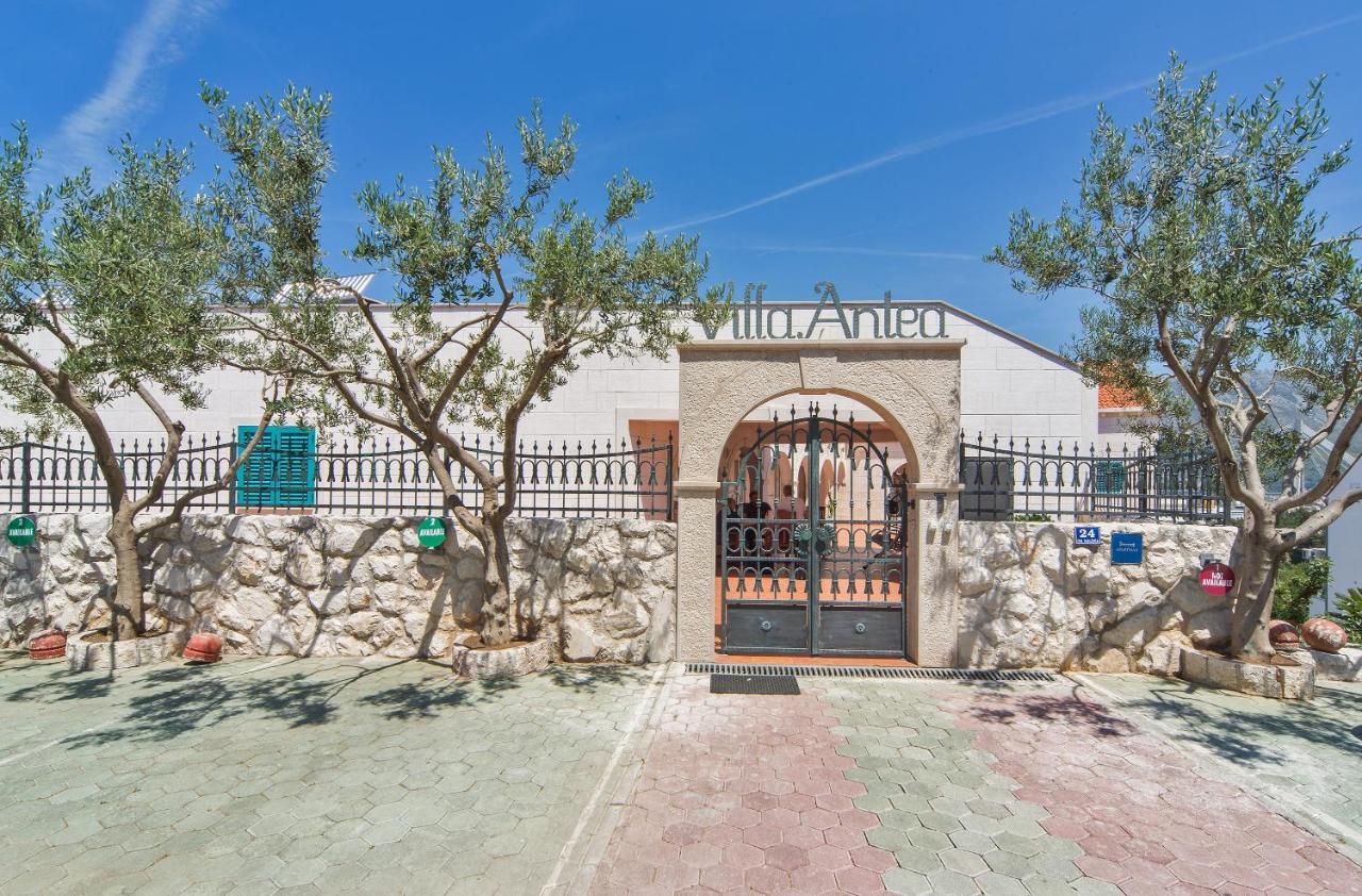 Villa Antea Apartments Dubrovnik Eksteriør billede